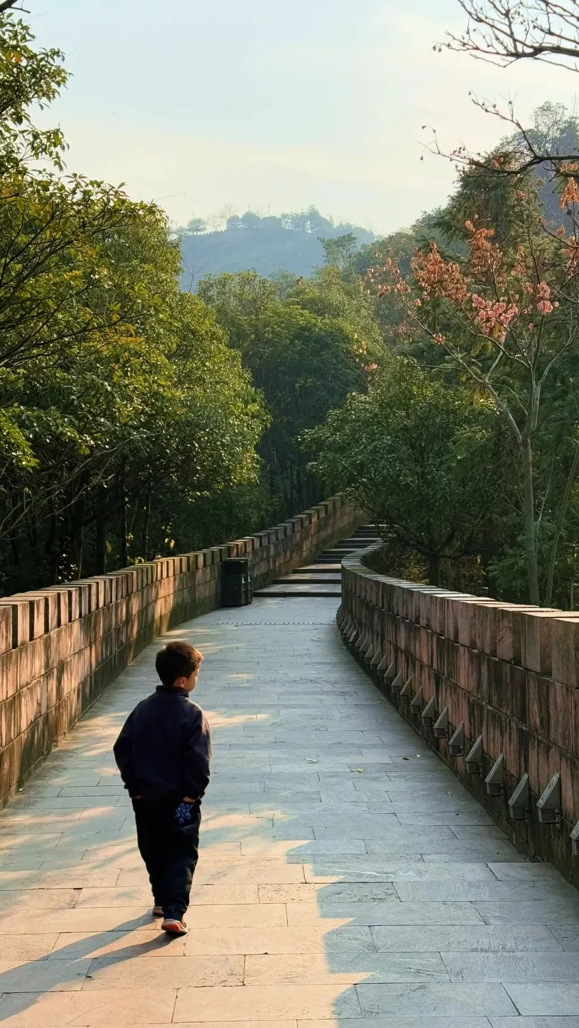 ce125de9781e7472ab5334b8a44454d3-sz_573981