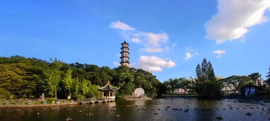 【浙南闽北•东海之滨】￥1999/人起•上海自组•真纯玩0自费•温州+5A百丈漈刘基故里+5A雁荡山+4A百岛洞头+4A江心屿+4A楠溪江•双飞六日游