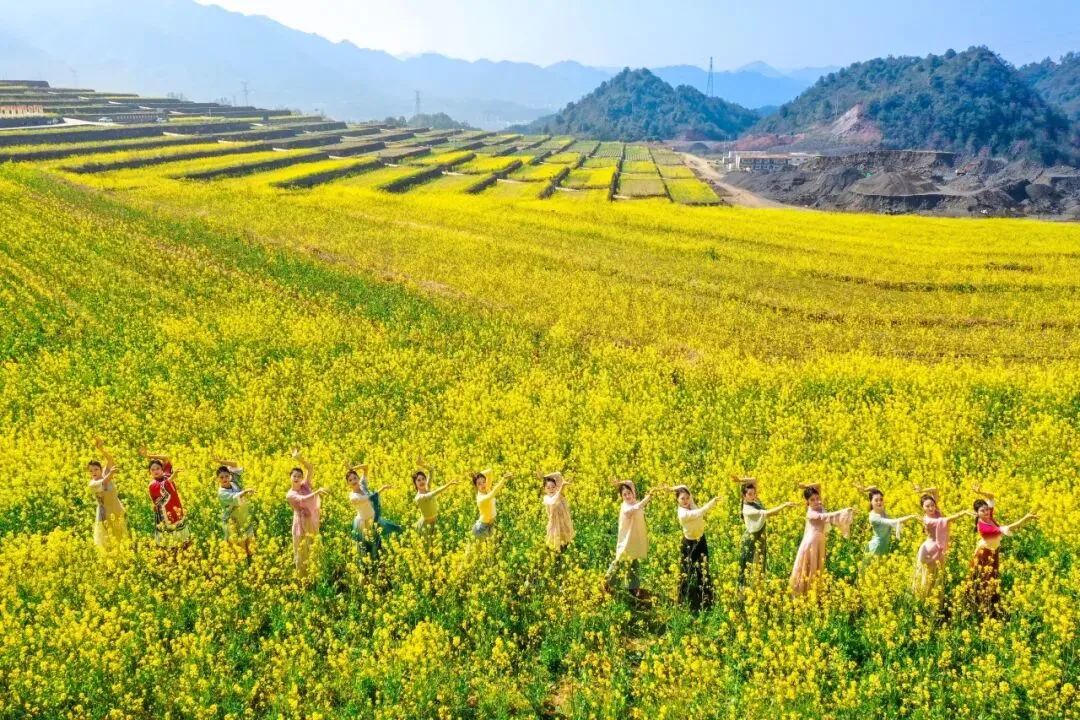 cefddfcaec599c27b5d9eb9a90395598-sz_244885