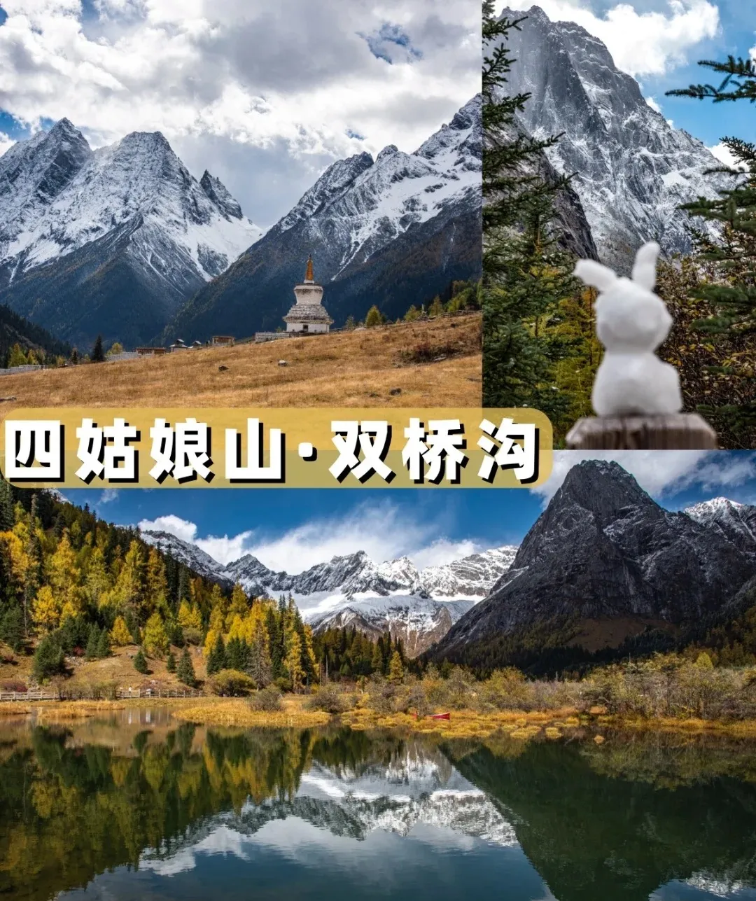 cf0eb5fb92d7b5acb3767bad1e289f57-sz_473130