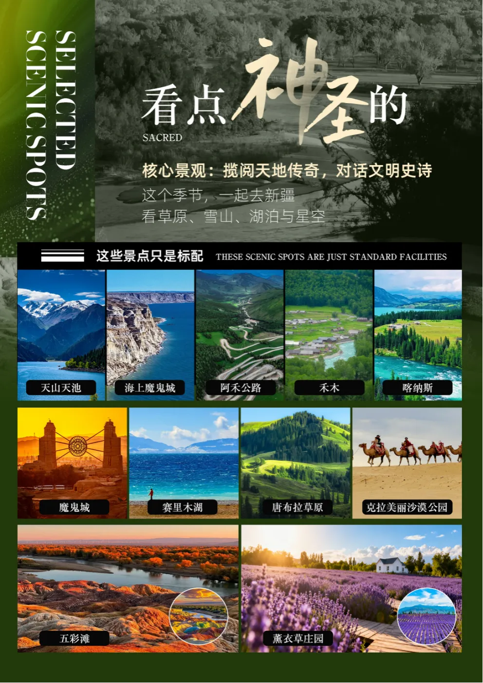 cf3edafab9f873a0493caa5990b0300b-sz_5577524