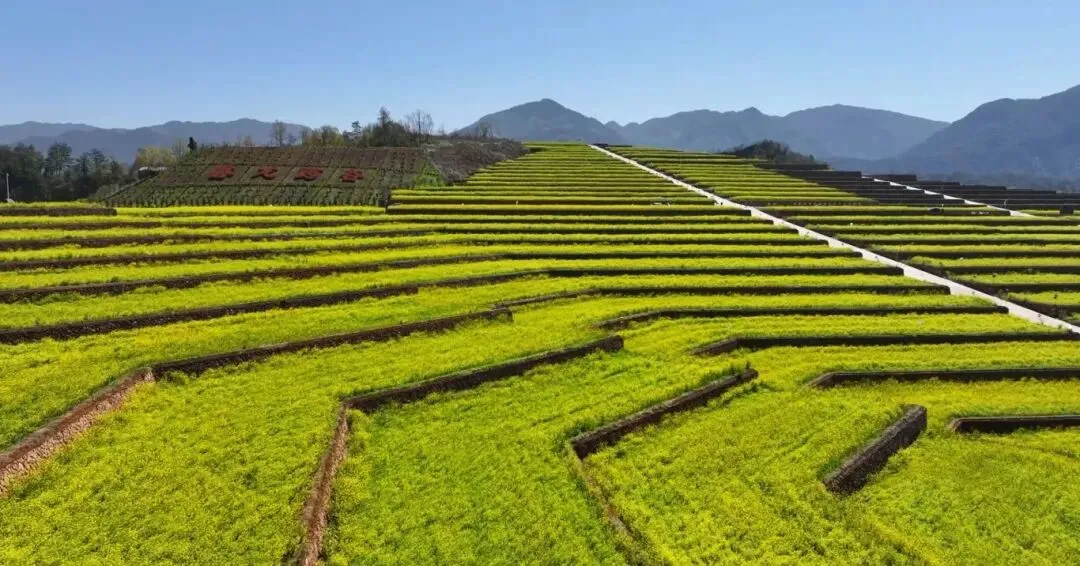 cf450013c51f5fd80471524b2dbcff57-sz_132163