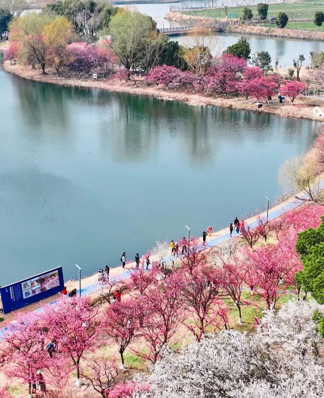 cf45d543cef1d3d314aa6ddb5544ea76-sz_510652-1