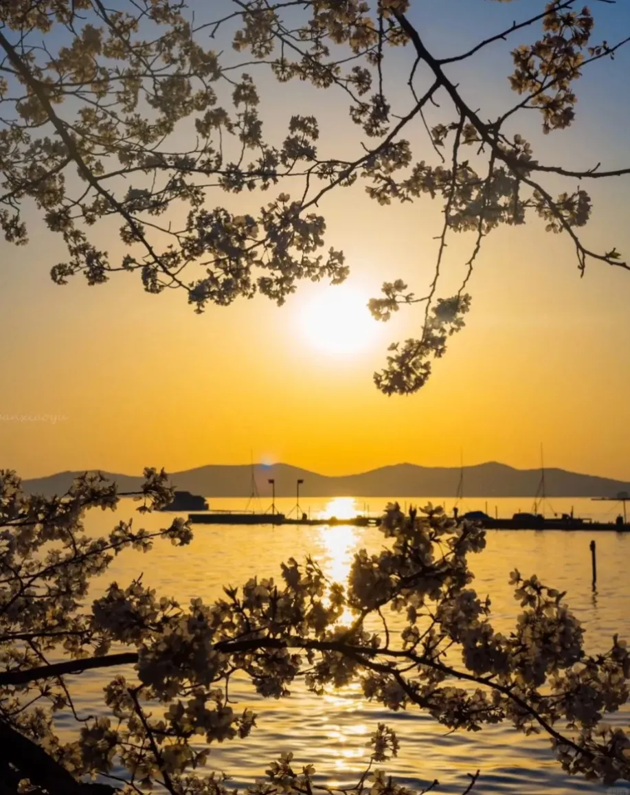 d0218f98384dec316d38428c6fcf3aba-sz_655064-1