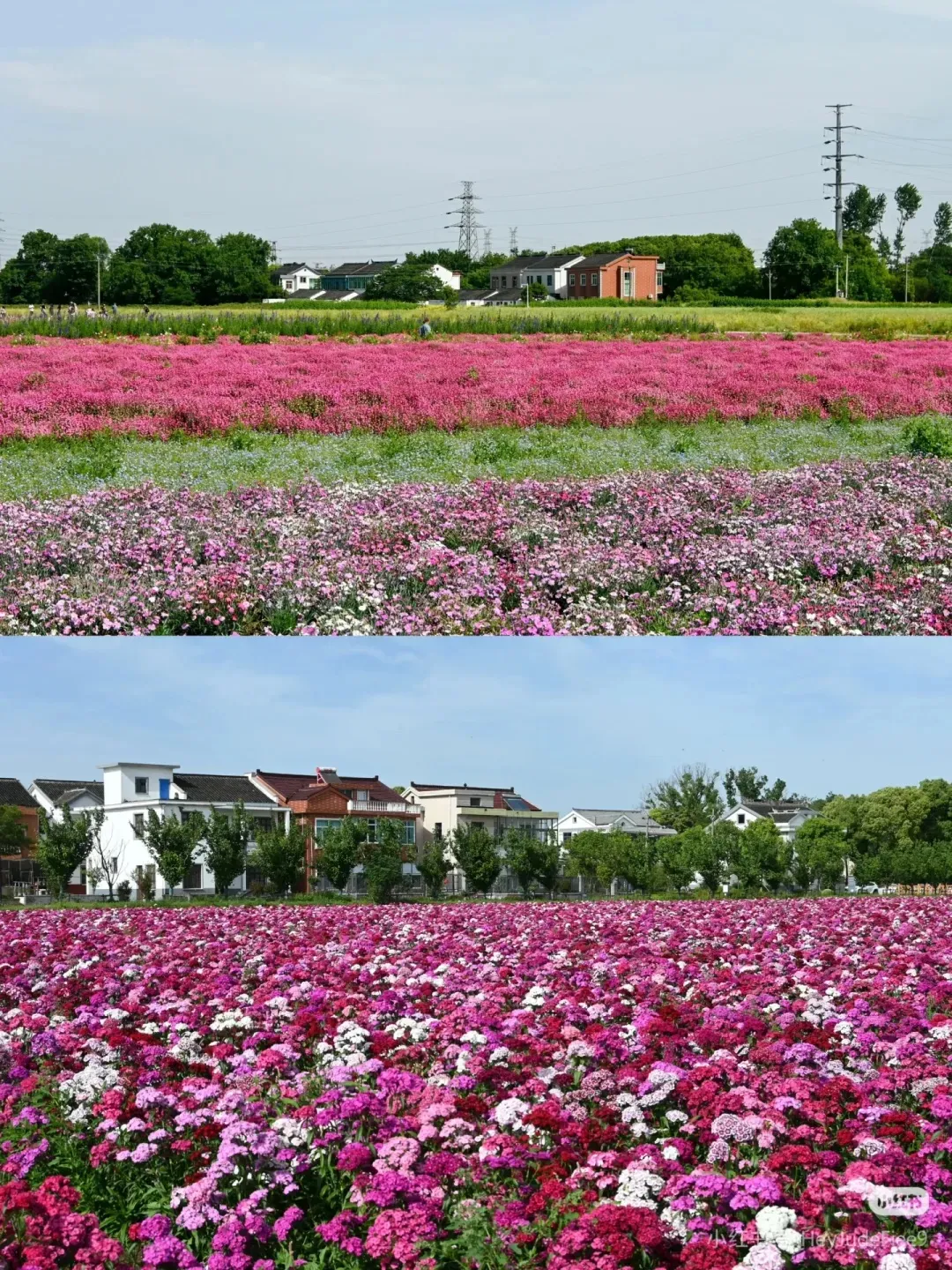 d04f81cdd1ec04637ff3cfea8232f498-sz_720669