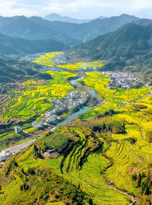 d0882520be49fdf42385ea3e91e4f357-sz_933530