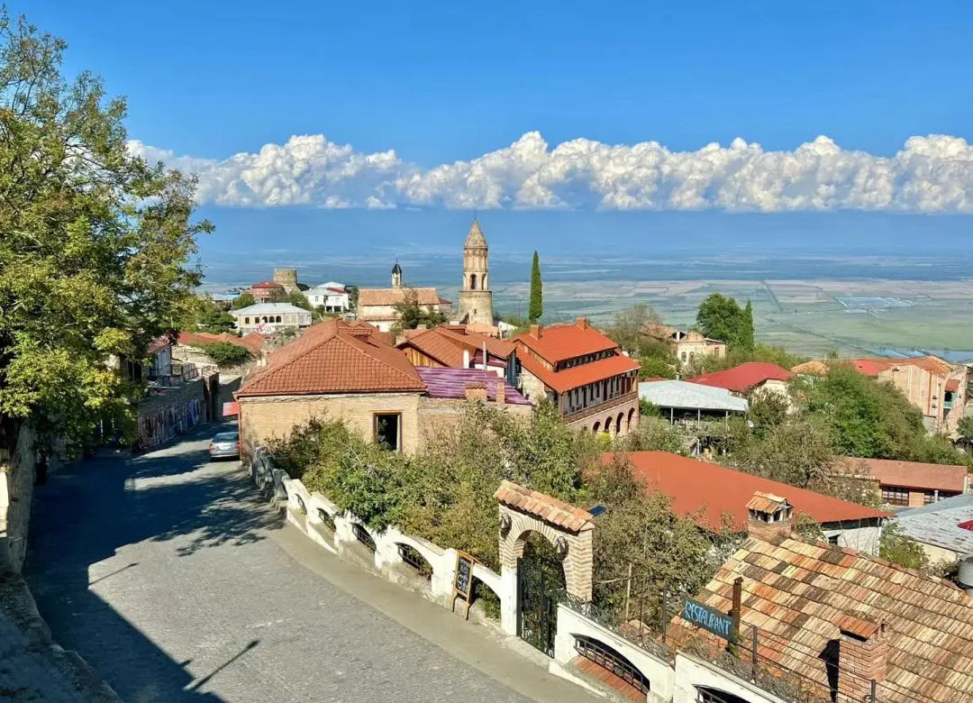 d09d97da89a0e35fe00f736d343df117-sz_180018