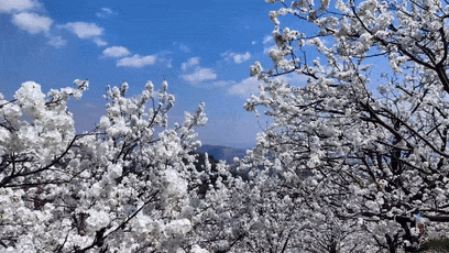 d0a54af345de2df4cd39c7b6bce76238-sz_1607279