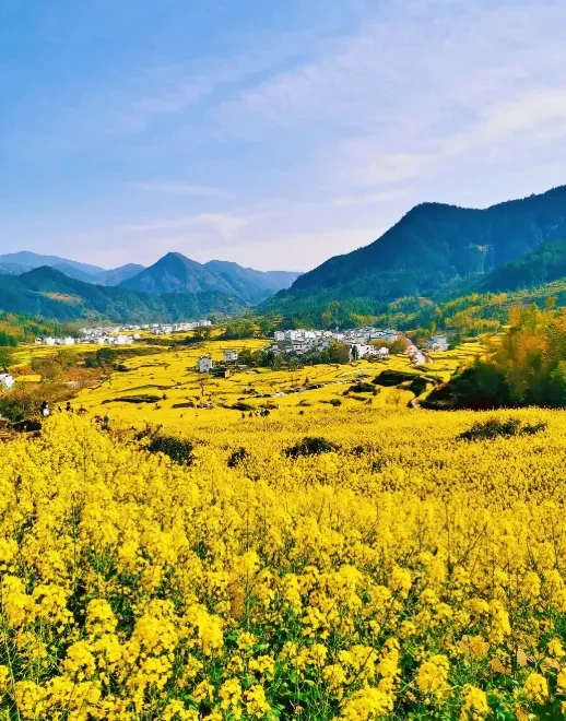 d0eefa29695916e53490b48e3868308e-sz_822439