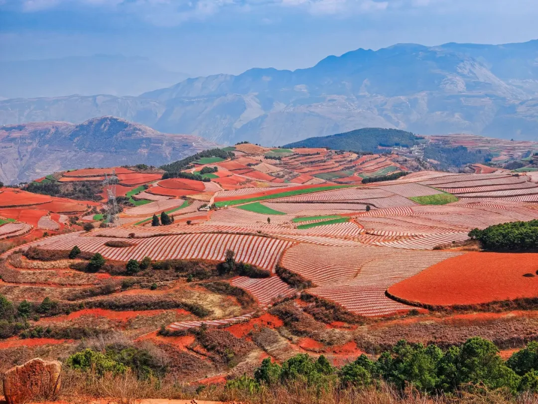 d1569dd7e799a62e451e099dc79fe0fa-sz_2803474 d1569dd7e799a62e451e099dc79fe0fa-sz_2803474