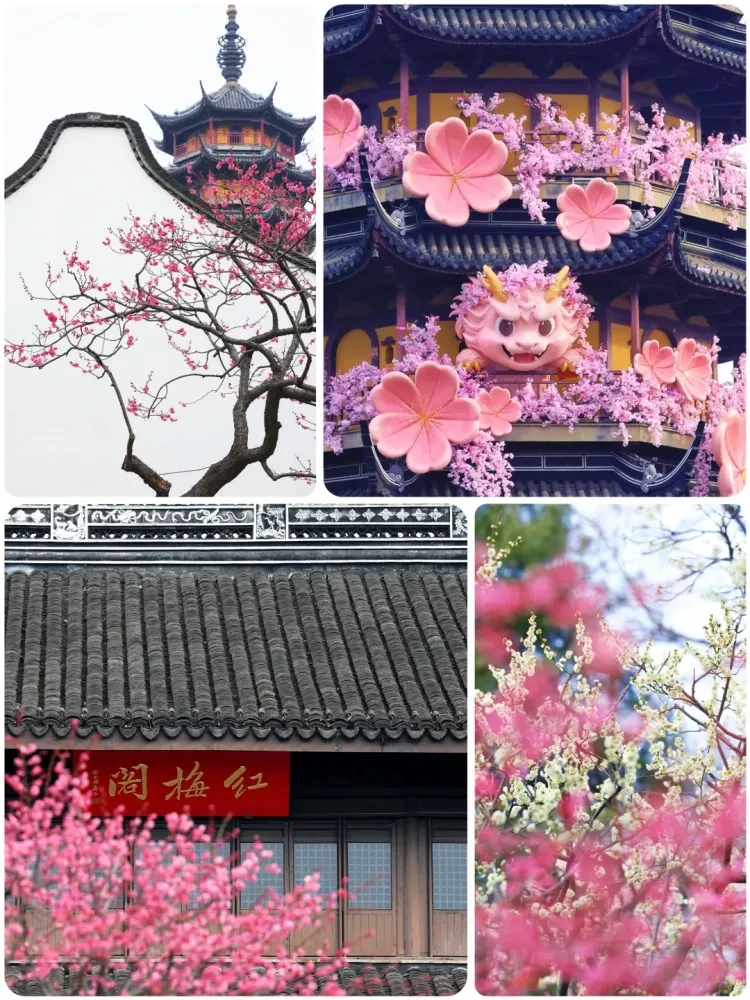 d1b14663d3ffdb0607e0050dab3738cb-sz_3327634