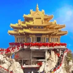 d1fcce9b67059265506ff19acfce2b67-sz_65336-3