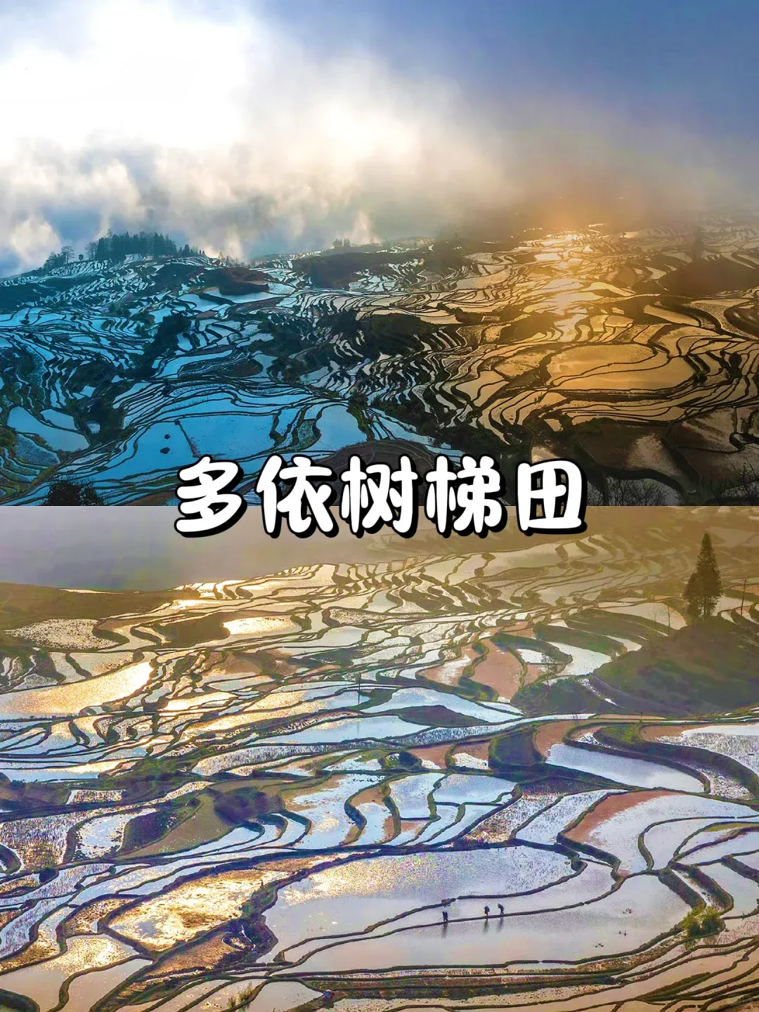 d221ecc5222b726a7d488fdc275e4ba7-sz_3235577