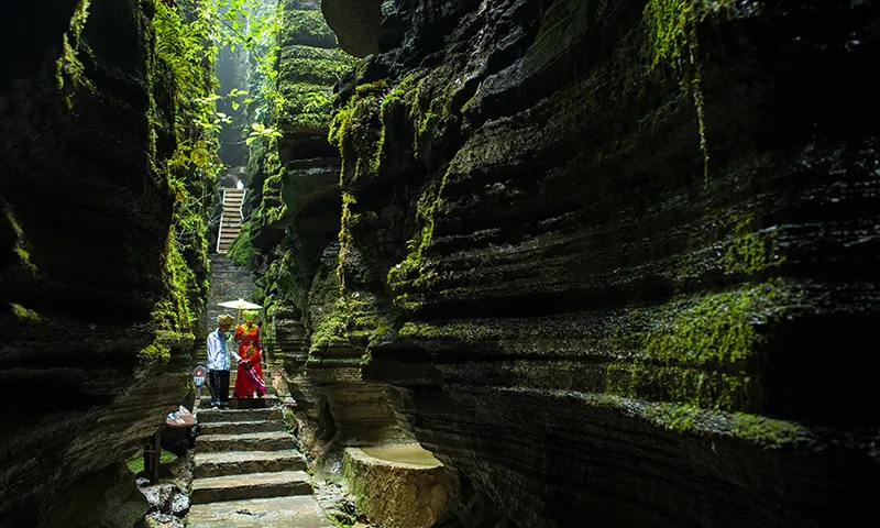 d2251d0a7b0ded732f7f4214570ced78-sz_467748