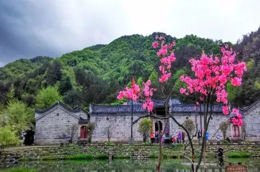 d227c8f15b4d873577105ba3ed2b2977-sz_481974