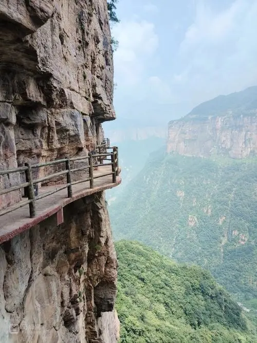 d23f67622cecd3769c0b054f5de350c4-sz_70628