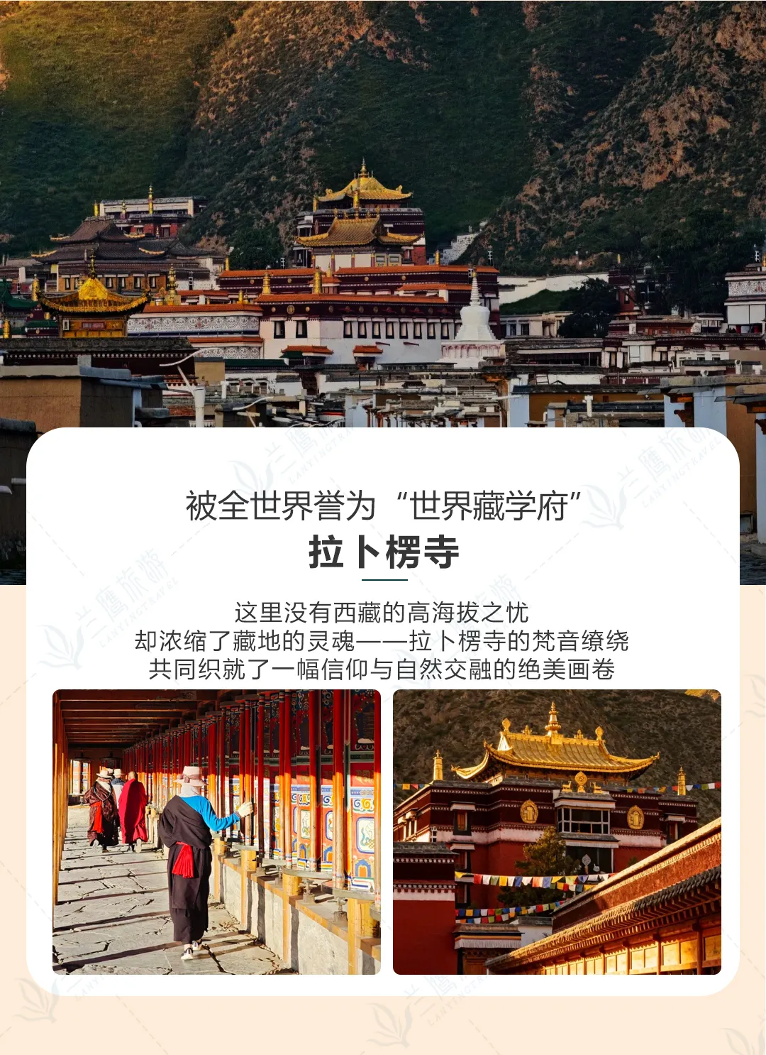 d2d7cb15187e02d277245093666d763b-sz_1224763