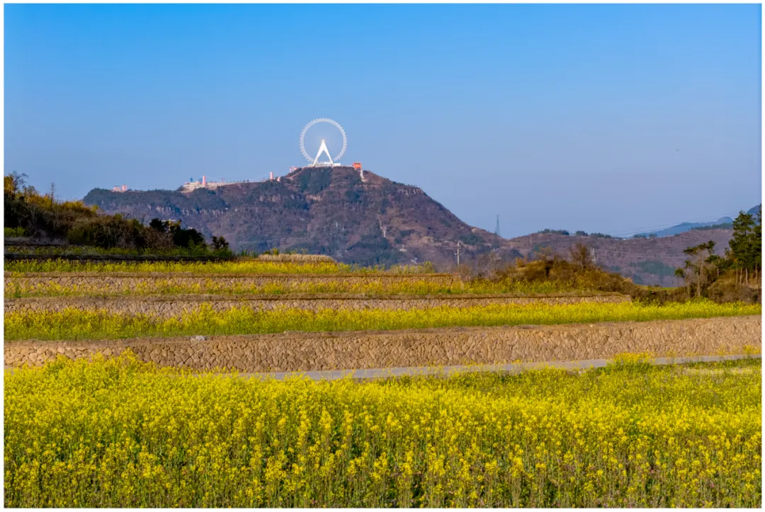 d2fae68e47dd2bedd010ae5584d8eb58-sz_1302697