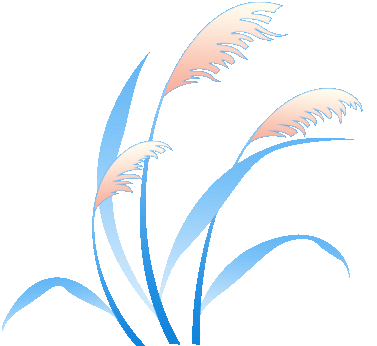 d32ff4e7745b4b980fb88db544e09ef6-sz_2069227