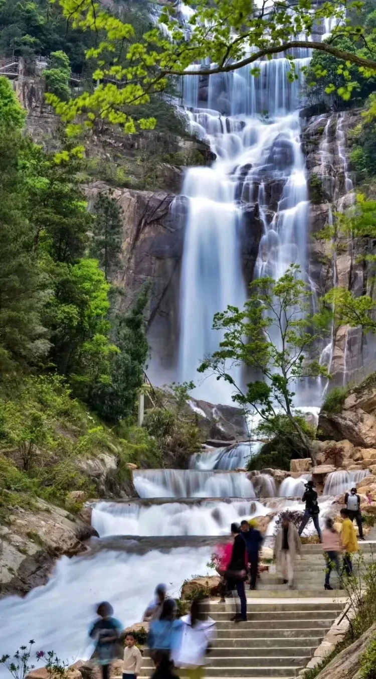 d33395ab93dd8d3cc7d2ff9248779428-sz_386816