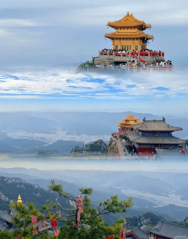 d33ff6df281a435a88bbd6081d48b870-sz_794142