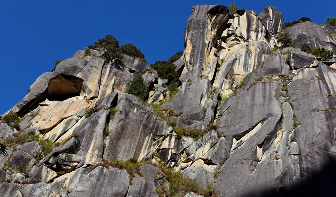 d38fbb95cc937a6b44f81aeebe49c5fa-sz_2829349-1