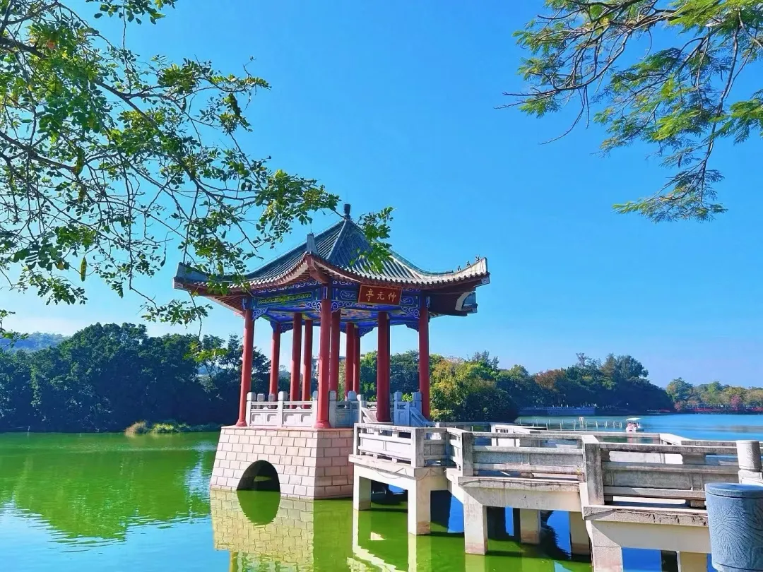 d3b17971502607a3a406faeea8007a79-sz_780322