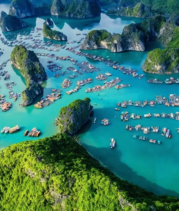 d3eddaed4ca423cecd1c1cc3a3529a5c-sz_1087448