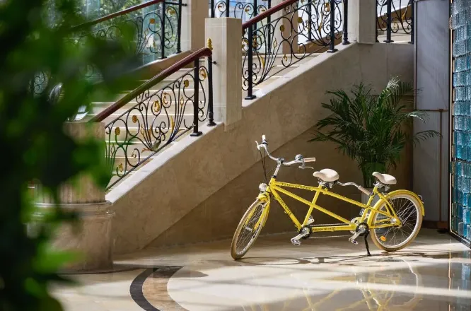 d425b2c8c9e36e6f68c473b674e7cd85-sz_579266