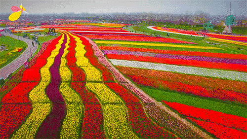 d42b79c412f97f153a1e5d13ace5c814-sz_1504186