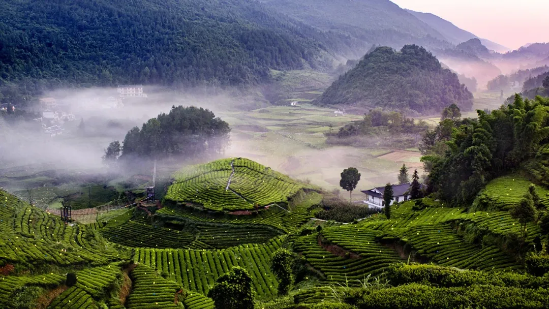 d46a81360a3784c9e55e813ce07bdef7-sz_240147