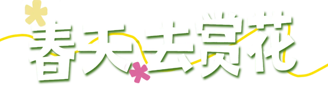 d4a817e49c36c7879bdcfec9187a4a63-sz_168638