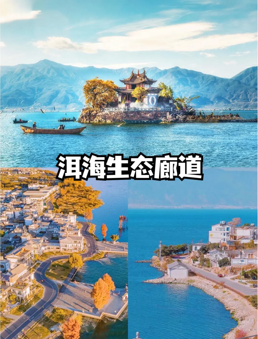 d4b6016ae7965d7d2e1657b37de575a2-sz_333308