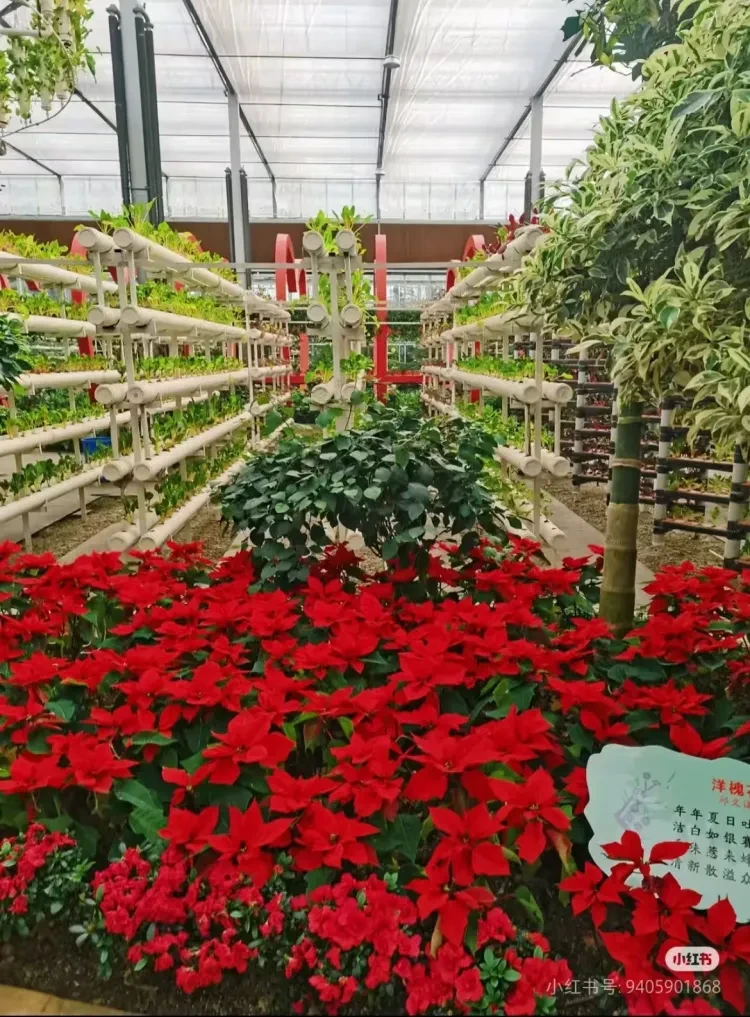 d4f48f91368c77e7ca3210d84a662002-sz_1288168-1