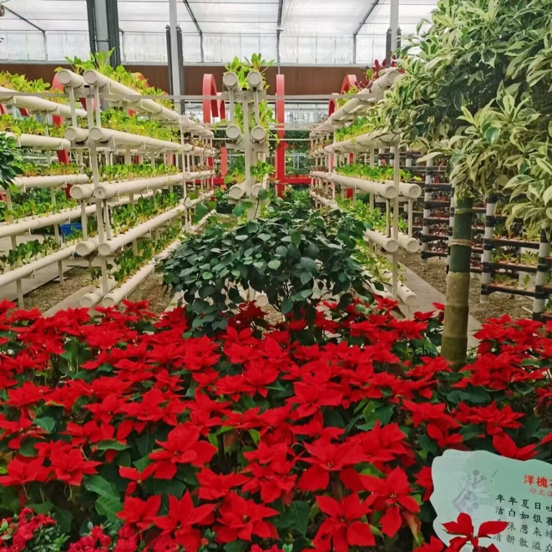 d4f48f91368c77e7ca3210d84a662002-sz_1288168