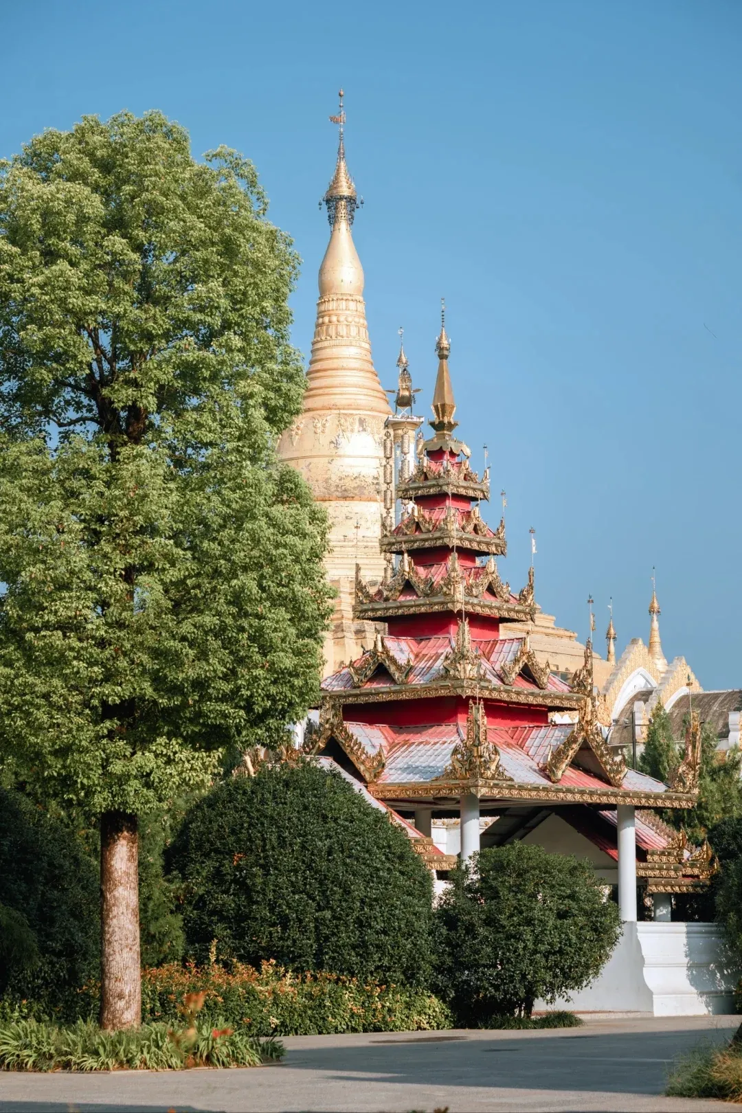 d4fb5d40e9bb711f082d85a110c70a0c-sz_1202289