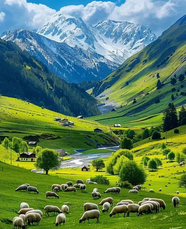 d5172ab9fce3bb1461c002f768cace52-sz_1487633