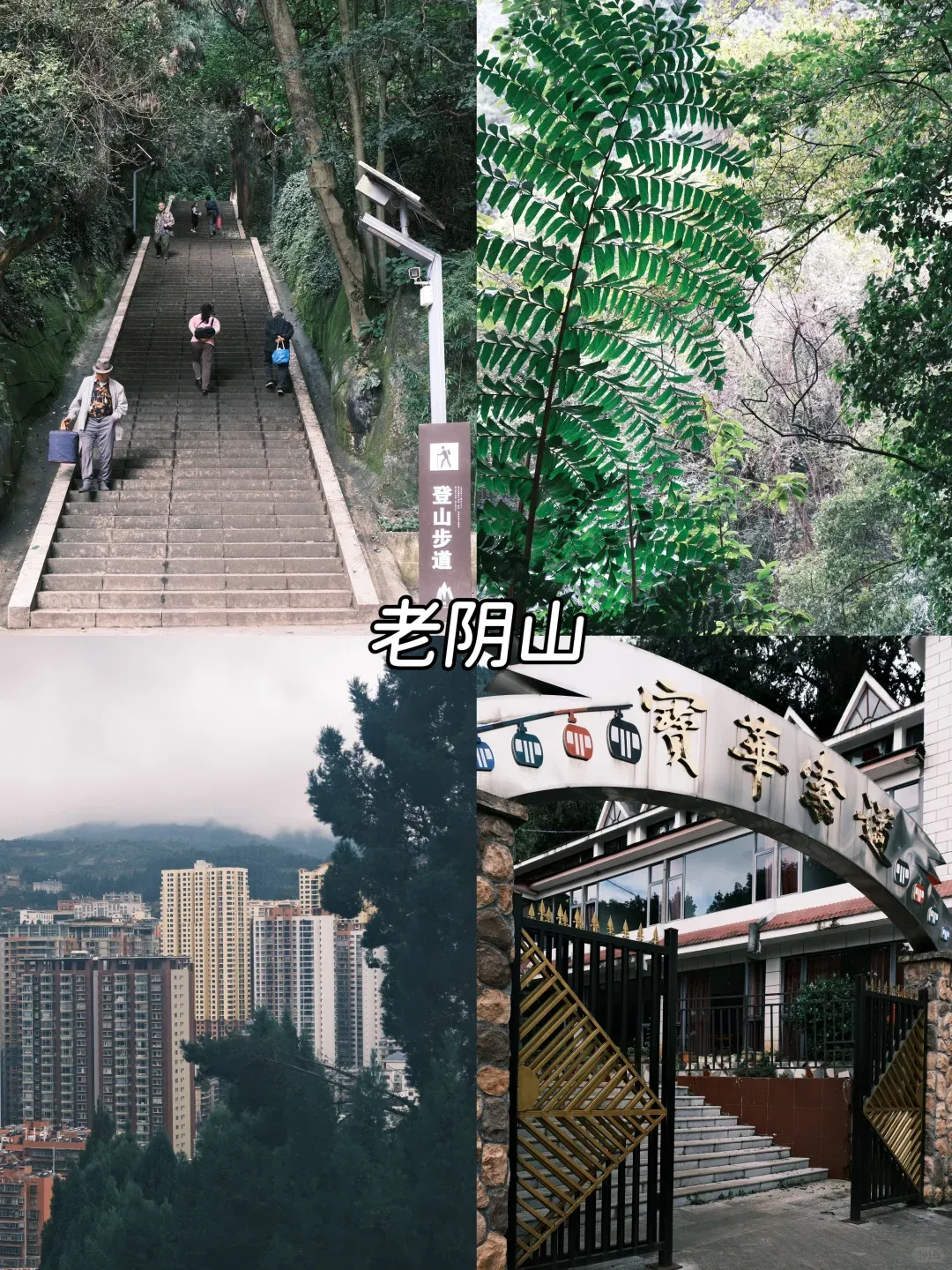 d53c2cecd796292d50b34a4c8446e5ba-sz_3517775