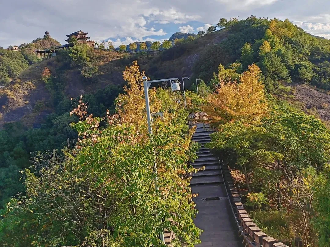 d55f9a809cf4e617f97b7d5cd6783437-sz_585223