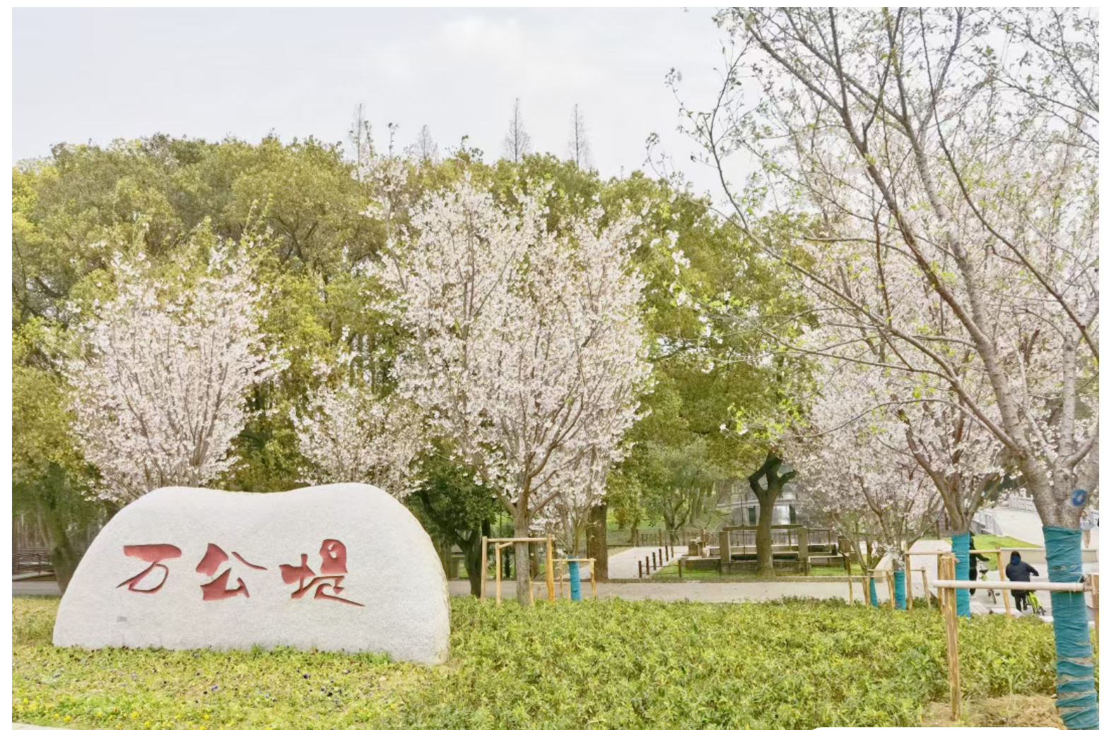 d5a70605210b0d8fad9f09876ee94a59