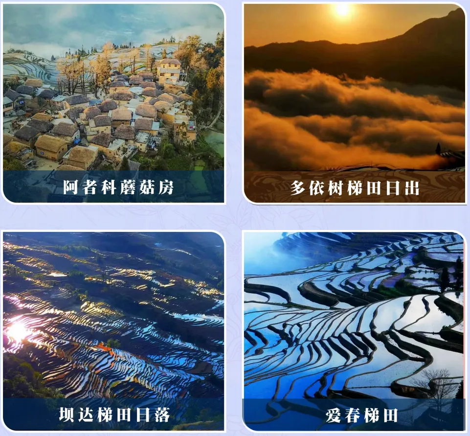 d5c91c27e6f412a59b6389e465edd989-sz_1494153