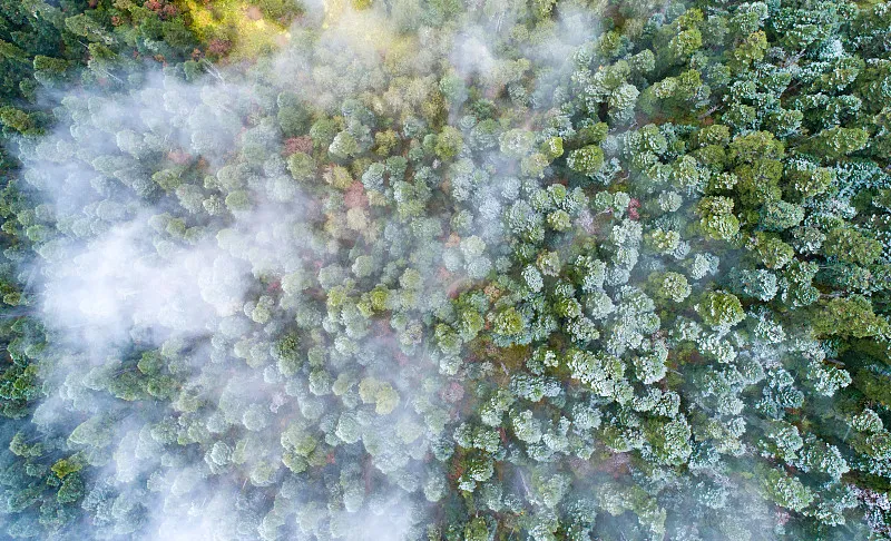 d69047e04f016227afbdae0ac113e391-sz_1199643