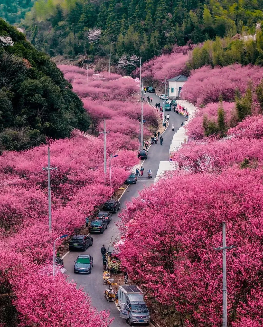 d6e4c96bf5da14515797868e62c0fdb8-sz_3214364