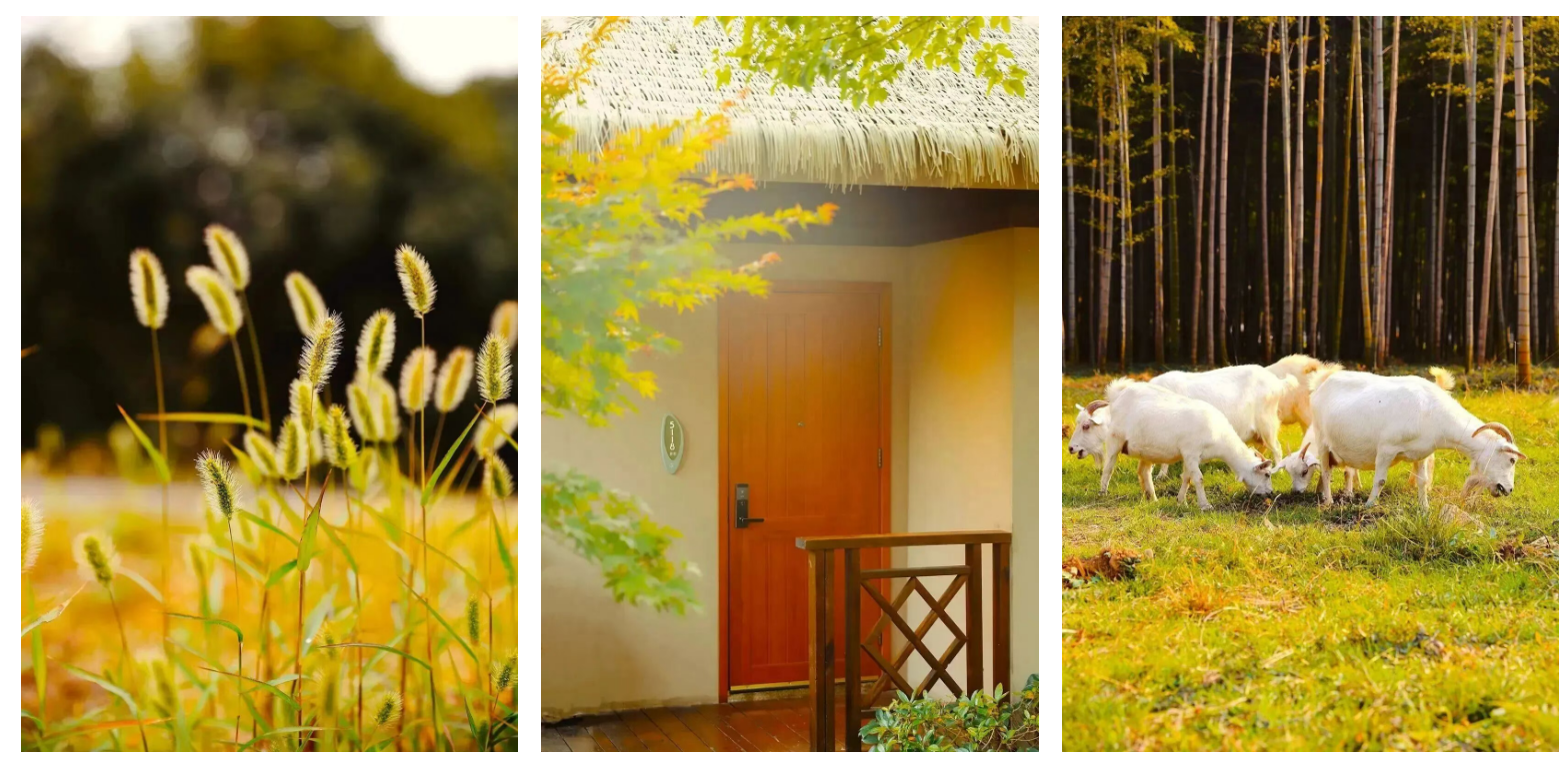 d724c7348ff4676d8ac186da6cbe3b6a