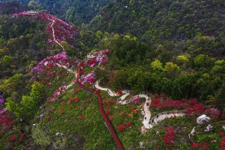 d72fe4edd17f06ad44fa054d9d94cc6b-sz_222803