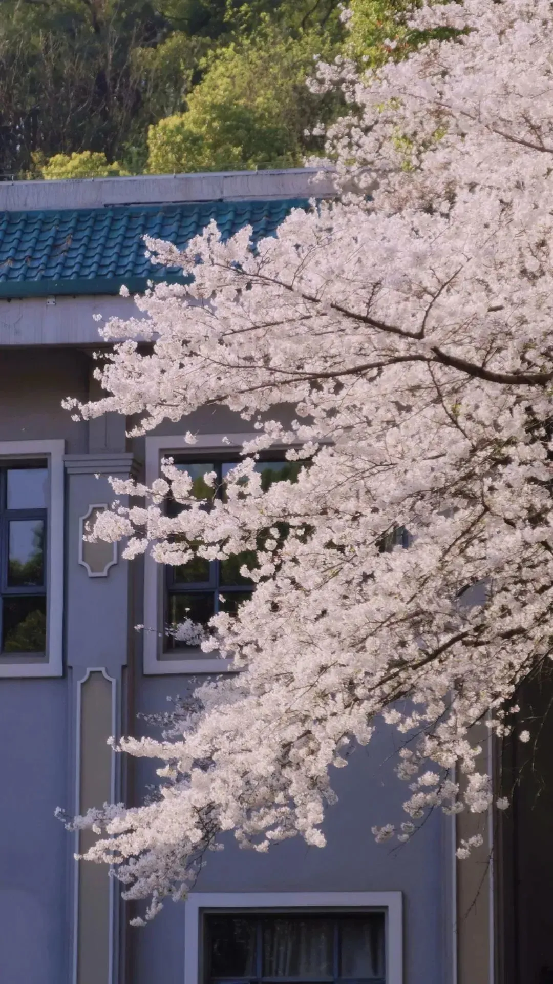 d78089a05edce0dfdde7e1fa143aff43-sz_337129