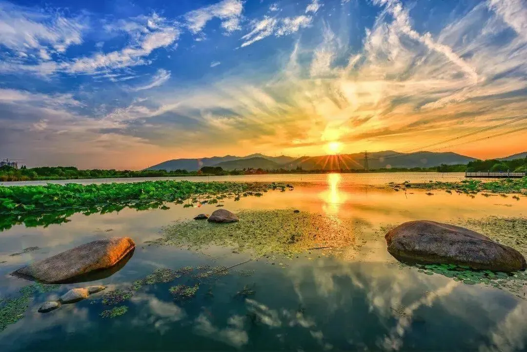 d7942b767c946b40a6e067e4a81c8970-sz_136230