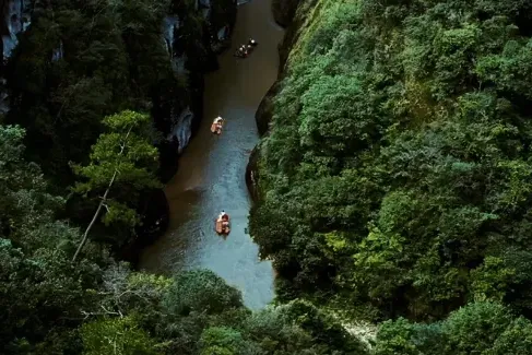 d7c8ea327174bd9ef7ef1726e52f607f-sz_318150