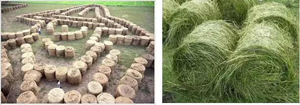 d7e4db008bd36e1c267305ff6b09553c-sz_290063