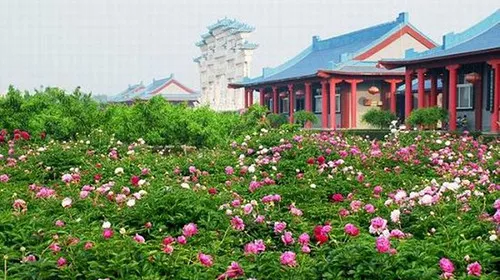 d82cc890e79ceb288660353513a1af14-sz_81128